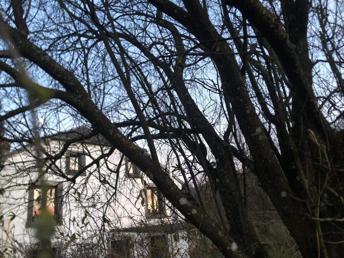 Villa Al Betchou Pire à Stoumont Extérieur photo